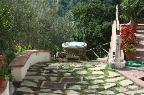 Outdoor Pictures 5