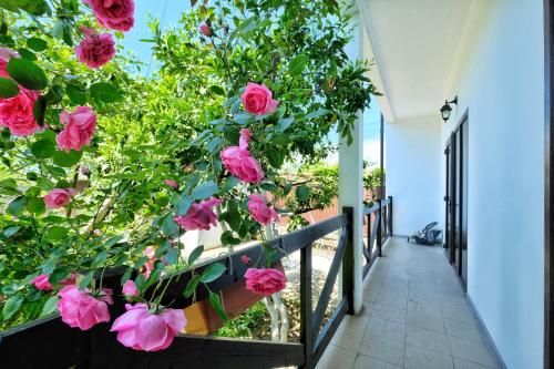 Outdoor Pictures 5