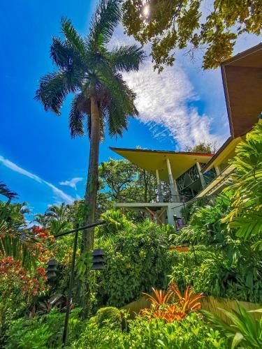 Outdoor Pictures 22