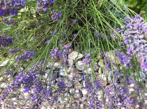 Outdoor Pictures 7