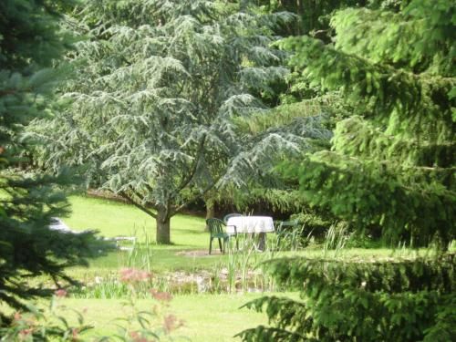 Outdoor Pictures 20