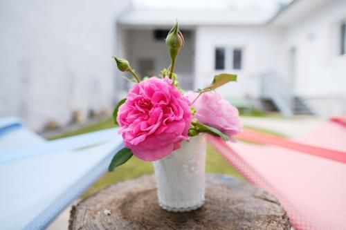 Outdoor Pictures 1