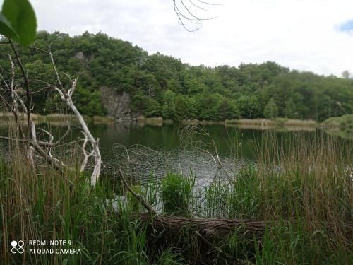 Outdoor Pictures 15