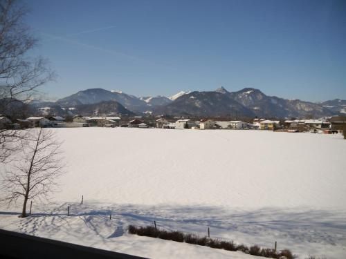 Outdoor Pictures 1