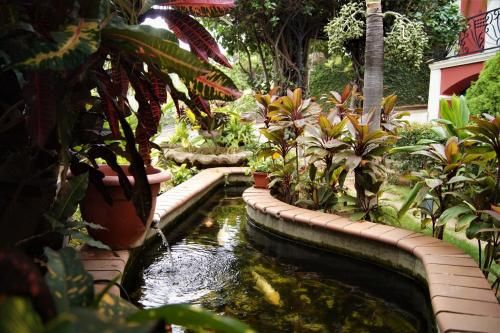 Outdoor Pictures 17