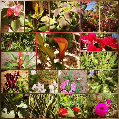 Outdoor Pictures 12