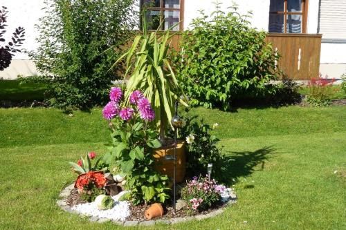 Outdoor Pictures 22