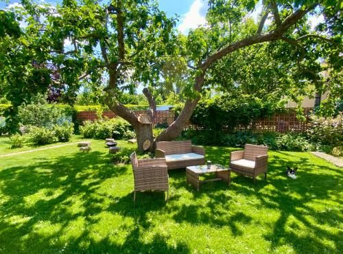 Outdoor Pictures 21
