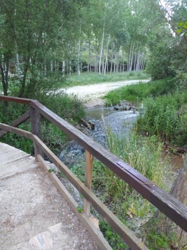 Outdoor Pictures 9