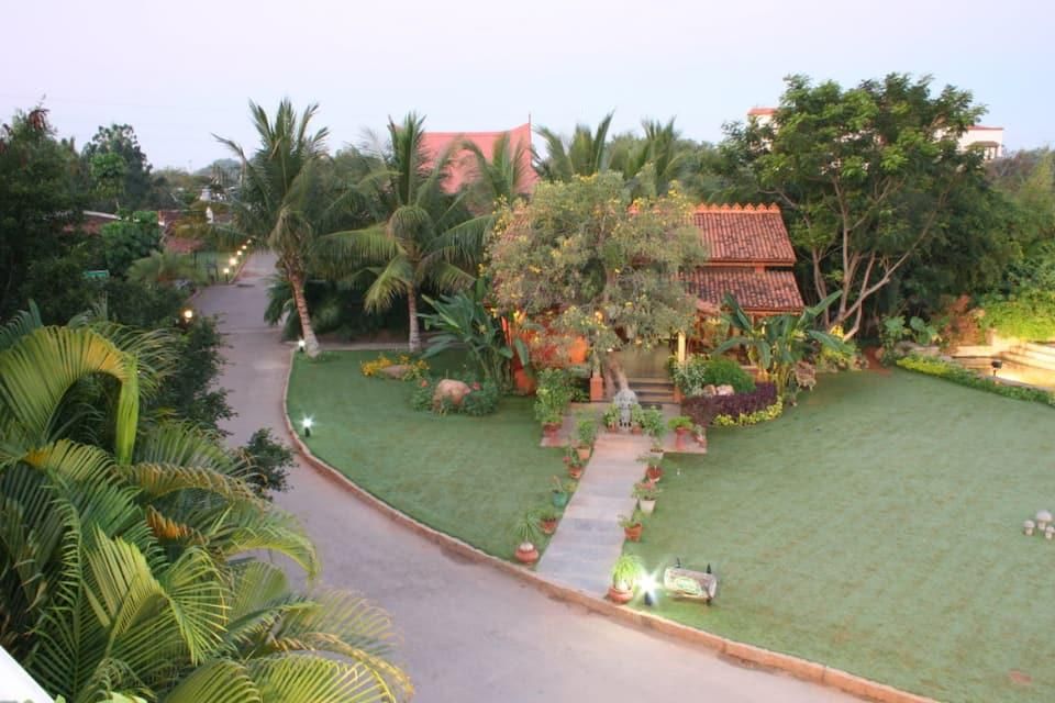 Outdoor Pictures 1