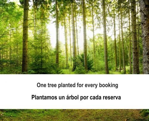 Fidalsa Orange Trees