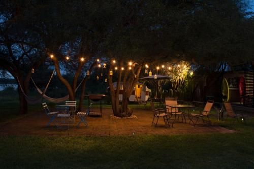 Outdoor Pictures 5