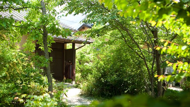 Outdoor Pictures 5