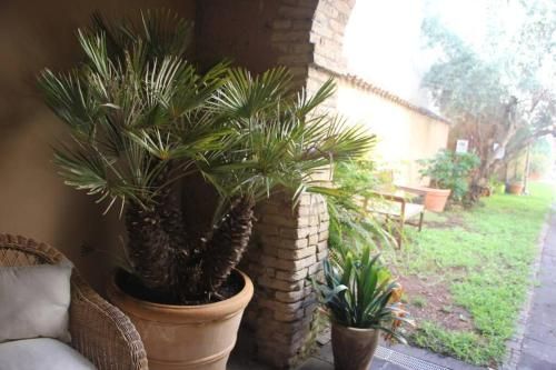 Outdoor Pictures 2