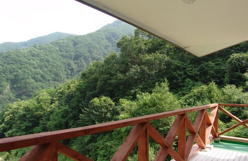 Sunshine Travel Pension