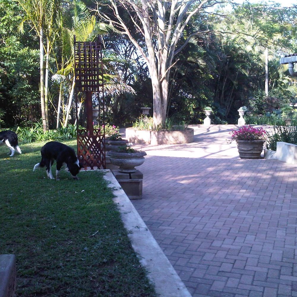 Outdoor Pictures 1