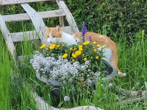 Outdoor Pictures 16
