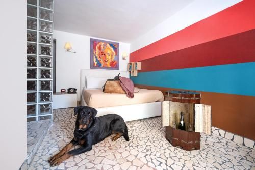 Diemme Studio