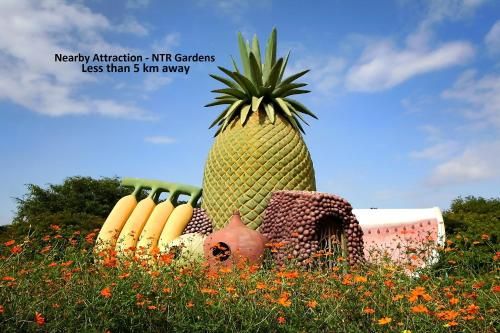 Outdoor Pictures 23