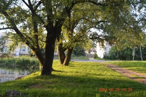 Outdoor Pictures 11