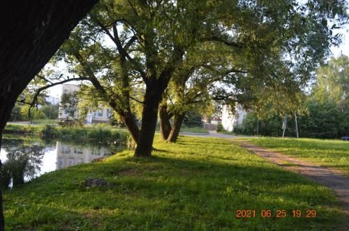 Outdoor Pictures 12