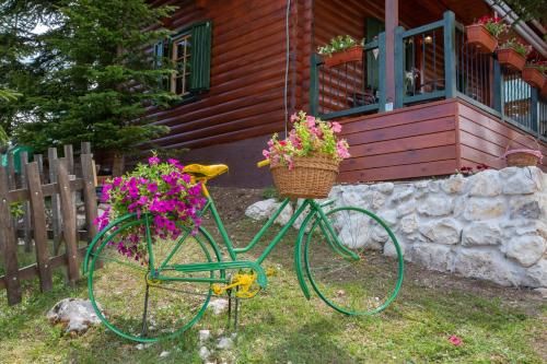 Outdoor Pictures 21