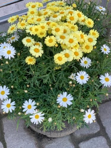 Outdoor Pictures 5