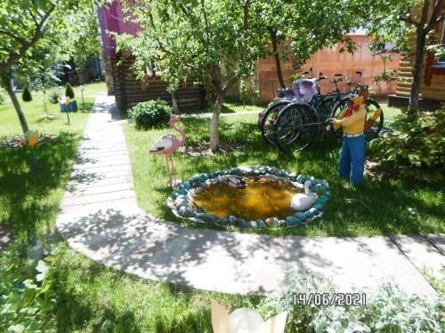 Outdoor Pictures 10