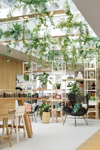 Zoku Vienna