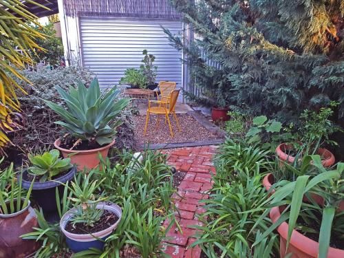 Outdoor Pictures 7