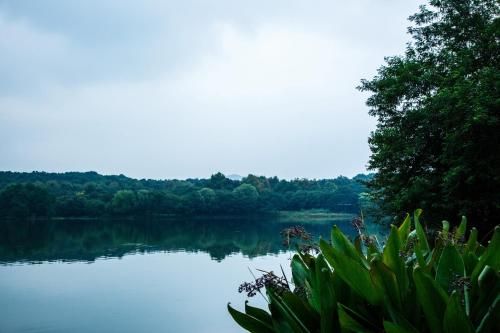 Outdoor Pictures 24