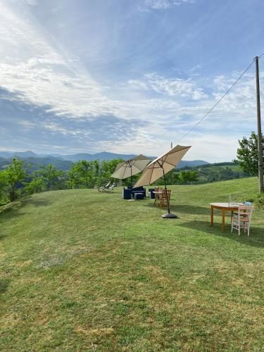 Outdoor Pictures 24