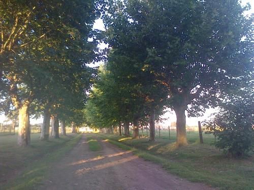 Outdoor Pictures 22
