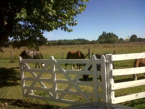 Outdoor Pictures 23