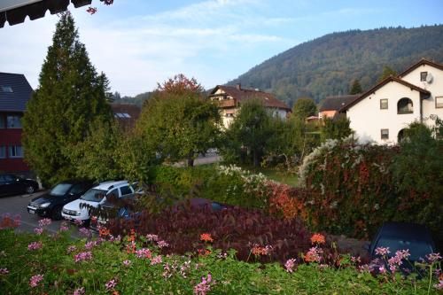 Outdoor Pictures 22