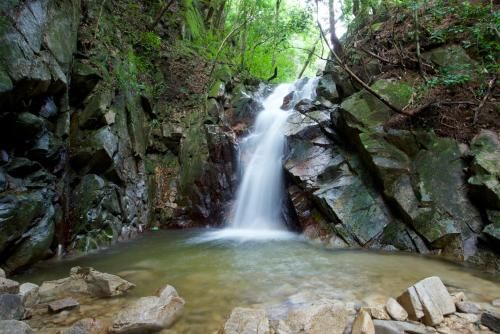 Outdoor Pictures 21