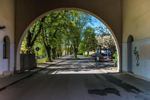 Outdoor Pictures 23