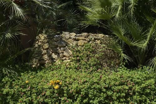 Outdoor Pictures 11