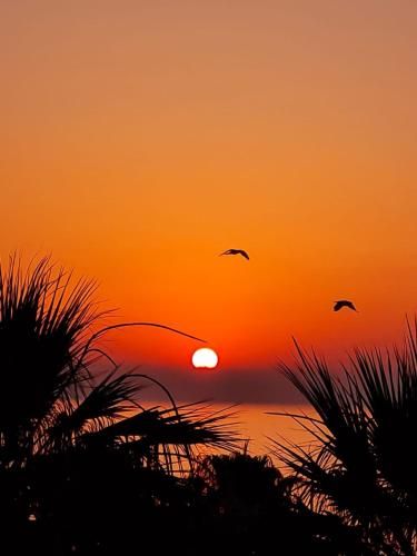 Outdoor Pictures 22
