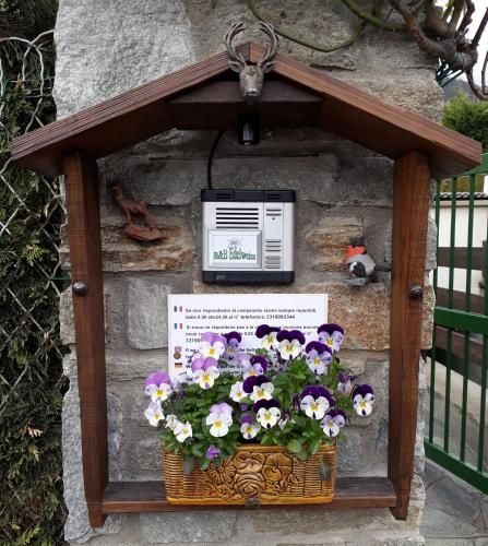B&B Edelweiss