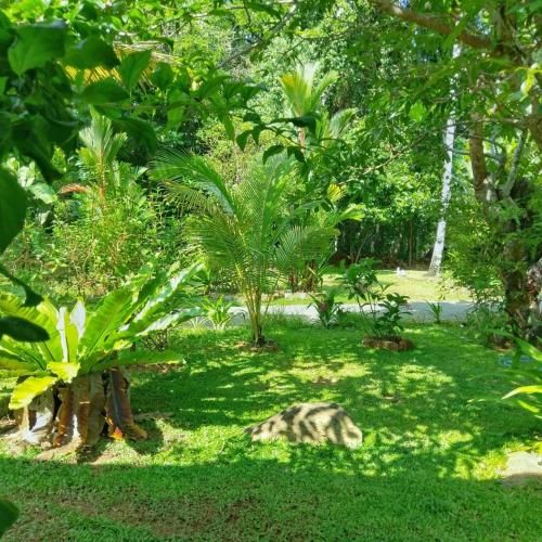 Outdoor Pictures 11