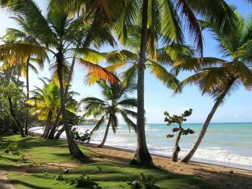 Turtle Lagoon Beach - Bahia Punta Bonita