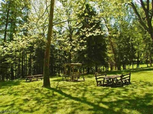 Outdoor Pictures 11