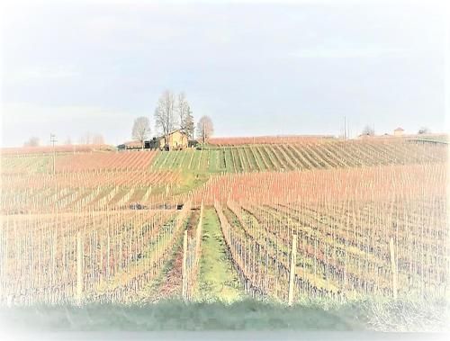 Domaine de Gaïa, Piscine, Pétanque, Ping-pong, proche Saint Emilion