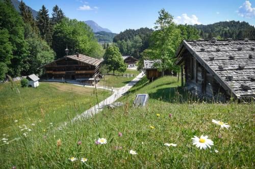 Outdoor Pictures 22