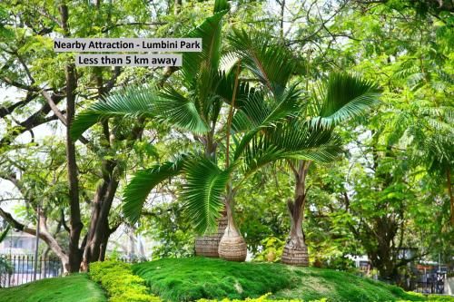Outdoor Pictures 21