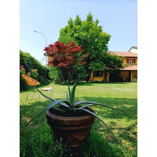 Outdoor Pictures 4