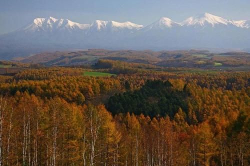 Outdoor Pictures 20