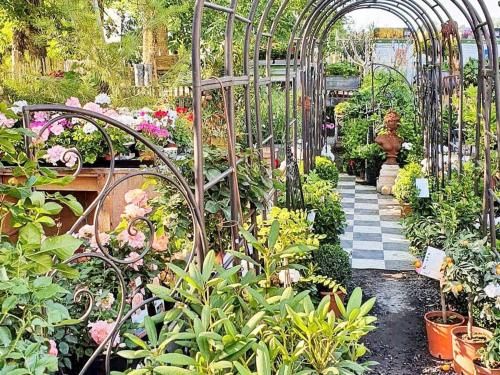 Outdoor Pictures 20