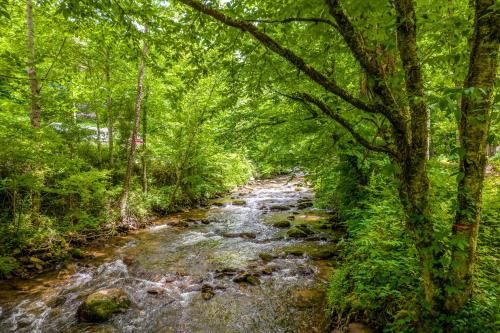 Outdoor Pictures 21